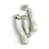 APE Albino Penis Envy Mushrooms - Bazooka Bars Official