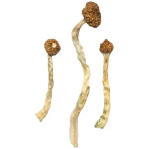 Arenal Volcano Magic Mushrooms - Bazooka Bars Official
