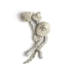Avery’s Albino Magic Mushrooms - Bazooka Bars Official