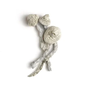 Avery’s Albino Magic Mushrooms - Bazooka Bars Official