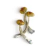 Costa Rican Mushrooms - Bazooka Bars Official