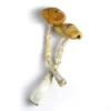 Golden Emperor Mushroom, Buy DMT UK - Bazooka Bars Official