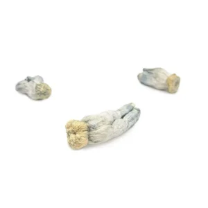 Shroomsdelivery Near Me - Bazooka Bars Official