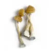 Where To Buy Magic Mushroom, Zilla Mushrooms - Bazooka Bars Official